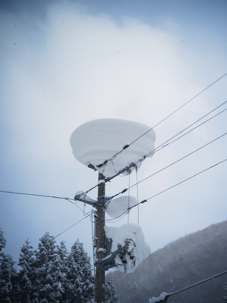 と、思ったら、こんなのもありました。