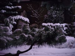 ケサの雪景色