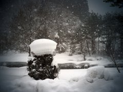 こんなんなってました