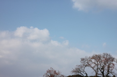 ふゆの空。