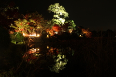 大覚寺のライトアップにて　大沢池