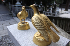 日牟禮八幡宮　黄金の鳩