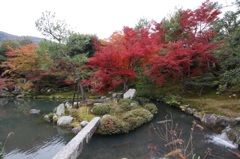 天竜寺