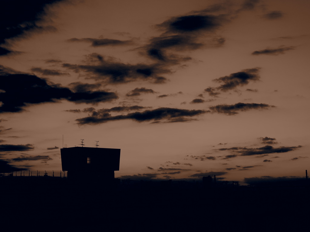 sepia
