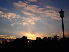 sorawo