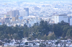 街の中の庭園