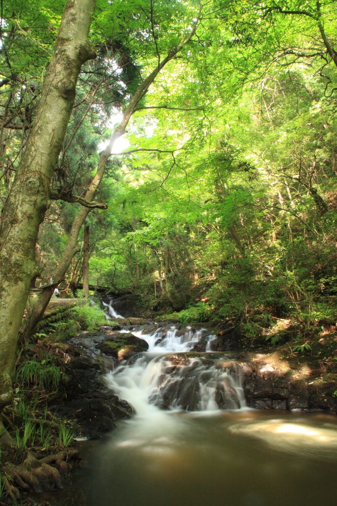 七ツ滝（五の滝）