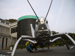 巨大バッタ！！