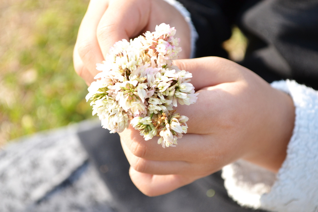 白の花束