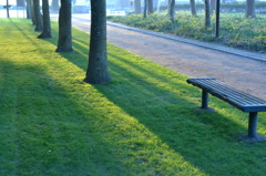 早朝の公園