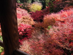 東福寺