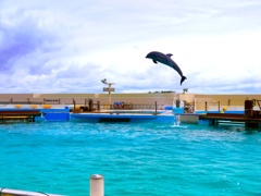 Jump!!