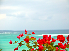 OKINAWA2