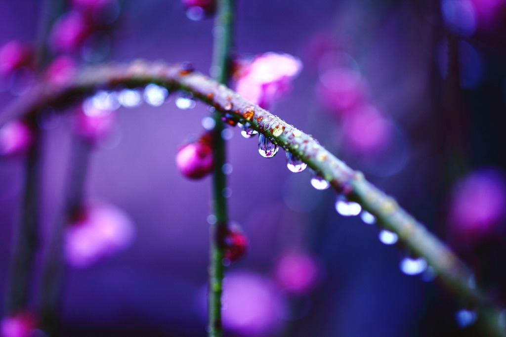 水滴