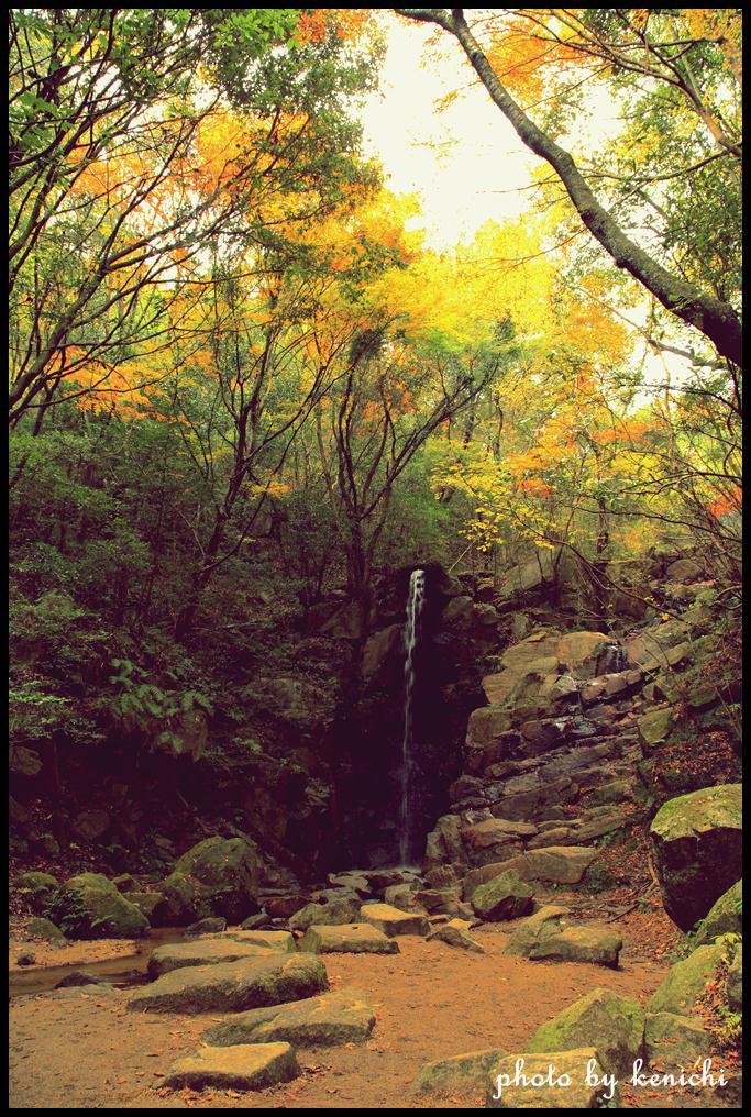 瀬戸市岩屋堂公園の滝