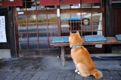 続・ご主人様を待つ（まだかなぁ）