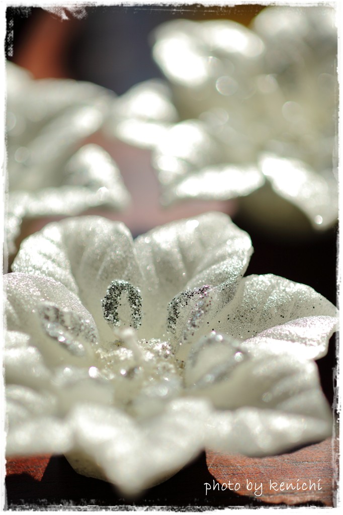 flower candle
