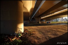 放置自転車はよくないよ