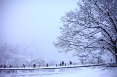 白川郷のつり橋