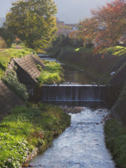 asanokawa-2