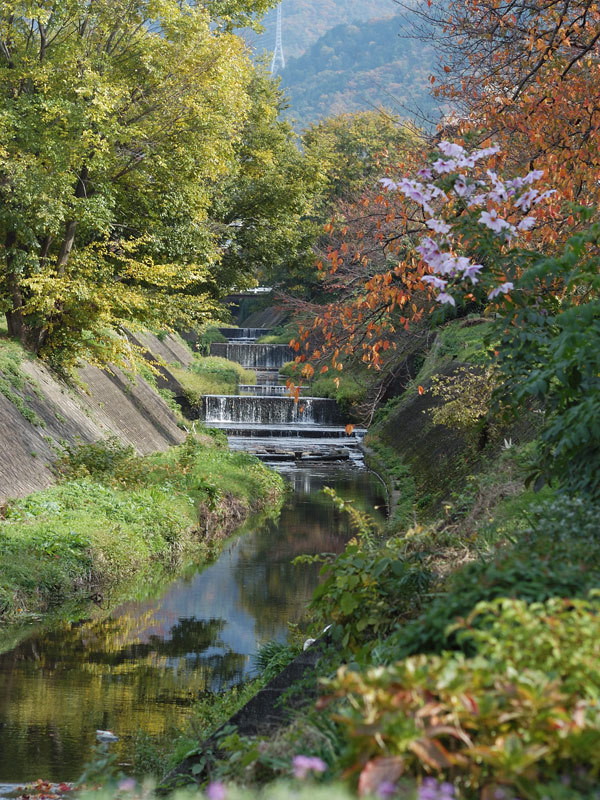 kawamo-2