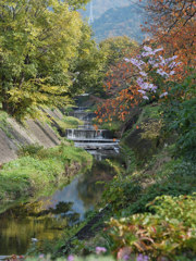 kawamo-2