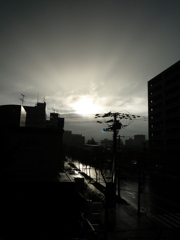 雨