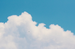 点