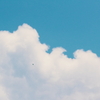 点