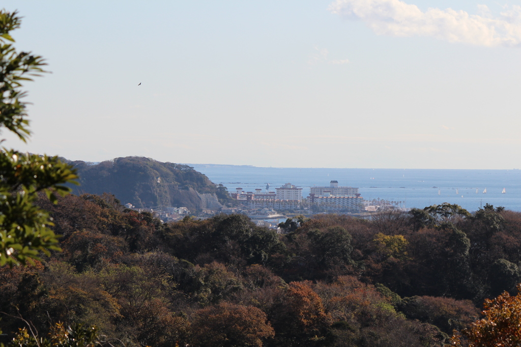 いざ、鎌倉