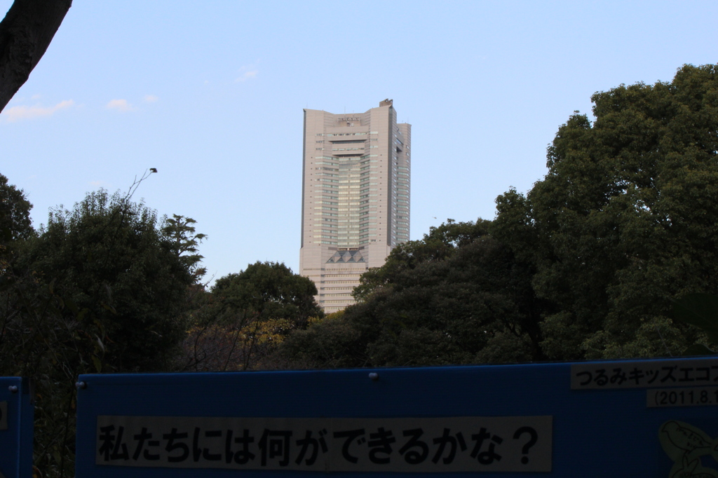祝！1人動物園 