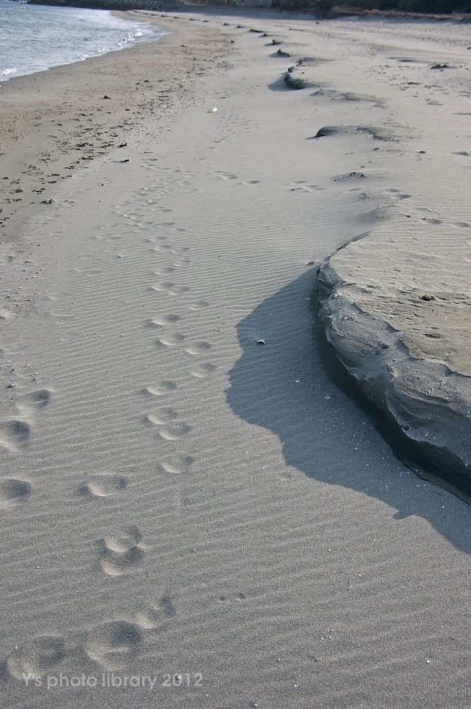 IMGP0109-2