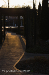 夕暮れの帰り道