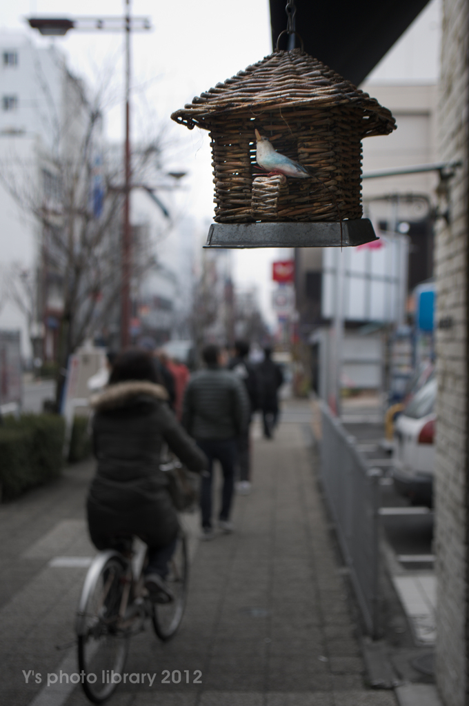 松山市_6