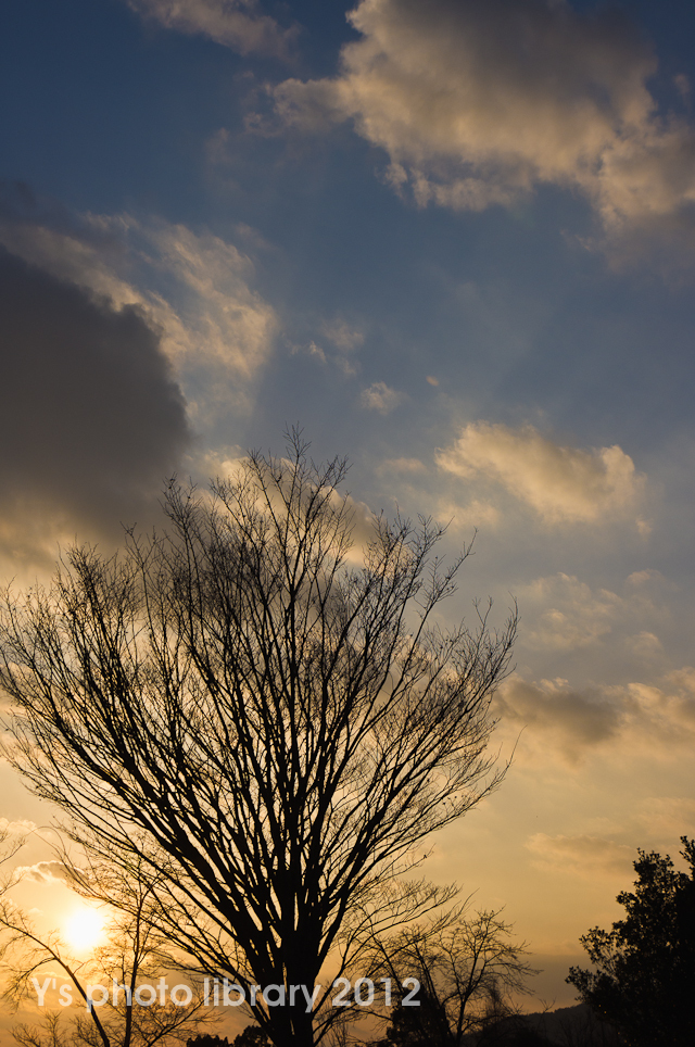 夕暮れ空