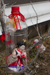 ペットに入ったお雛様