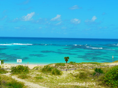 奄美大島　土盛海岸①