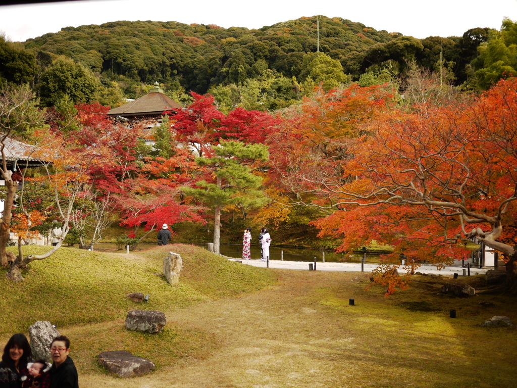 ホワイトバランス