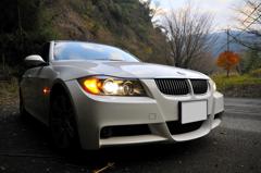 紅葉とBMW