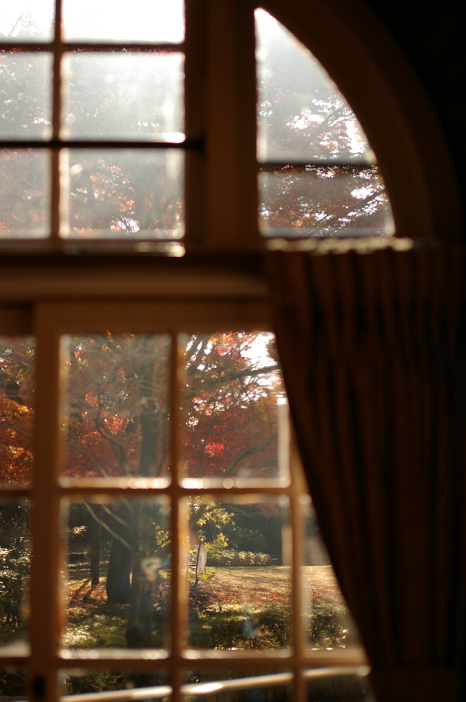 アンテイークな窓。。からの紅葉
