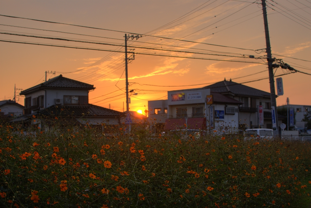 土手から