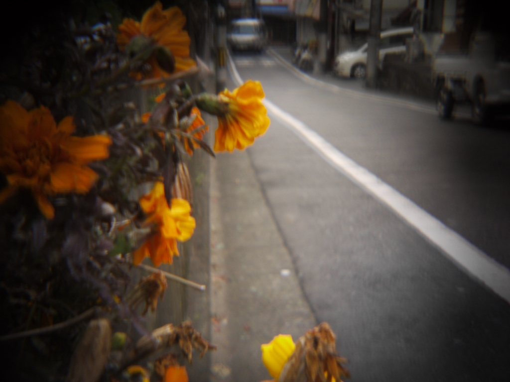 オレンジ