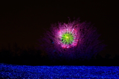 花火