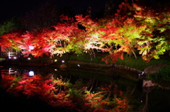 鏡池の紅葉