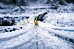 初雪