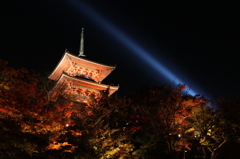 清水寺　夜の紅葉狩り