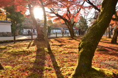 昼過ぎの南禅寺にて