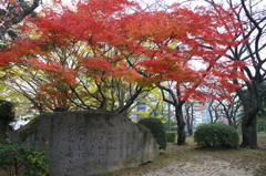 「筑紫の館」万葉歌碑