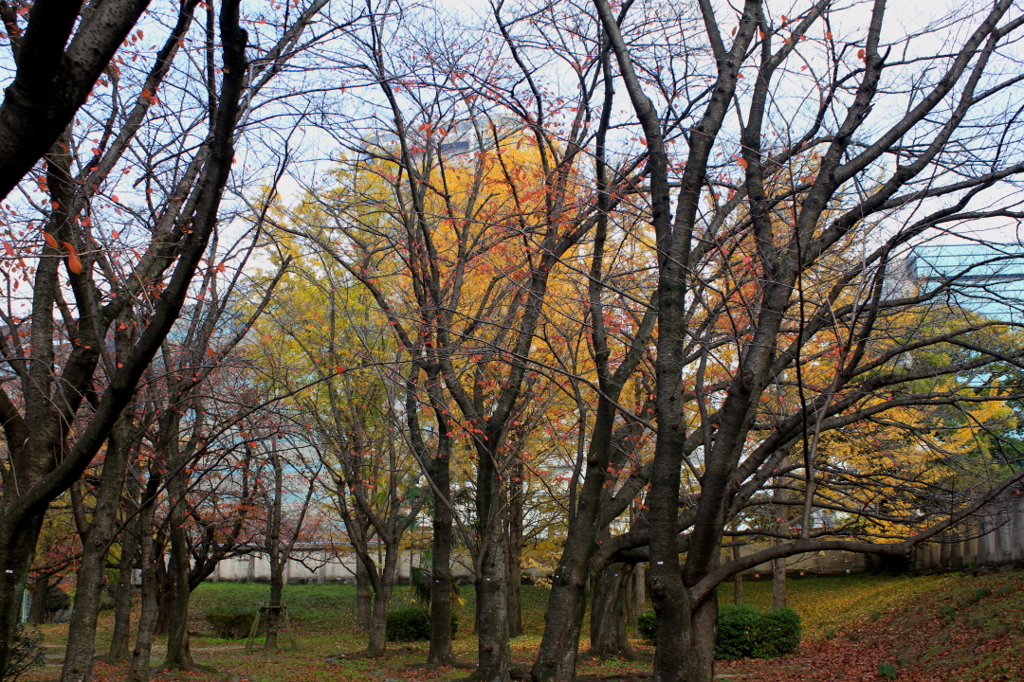 城址公園