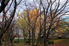 城址公園